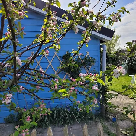 Attractive Near Beach, Dunes Holiday home