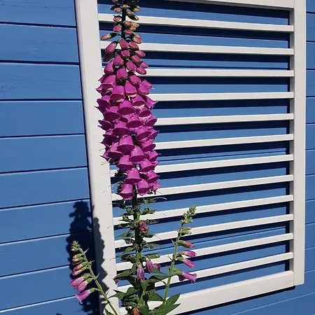 Attractive Near Beach, Dunes Holiday home