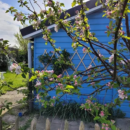 Attractive Near Beach, Dunes Holiday home